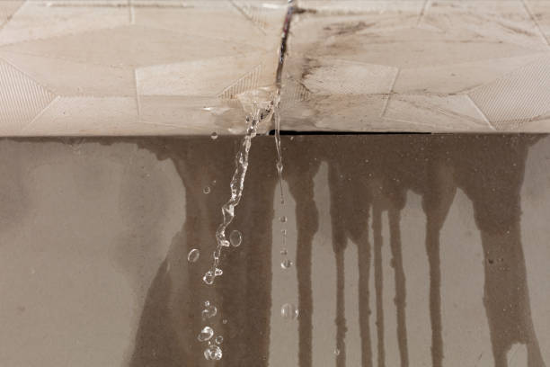 Professional Structural Drying technician working in Levittown, NY